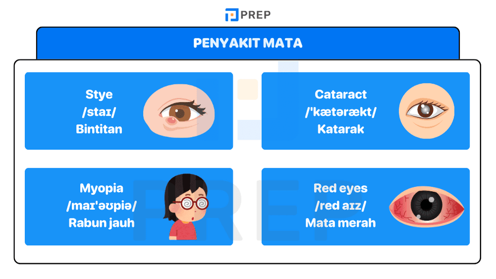 Nama Nama Penyakit Mata