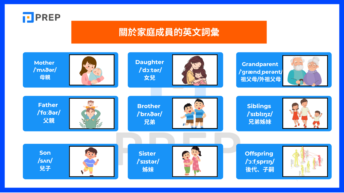 關於家庭成員的英文詞彙