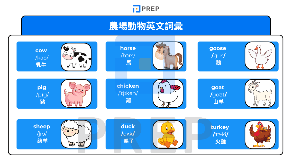 農場動物英文詞彙