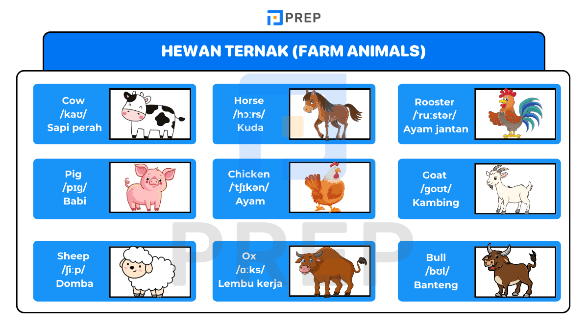 Hewan Ternak (Farm Animals)