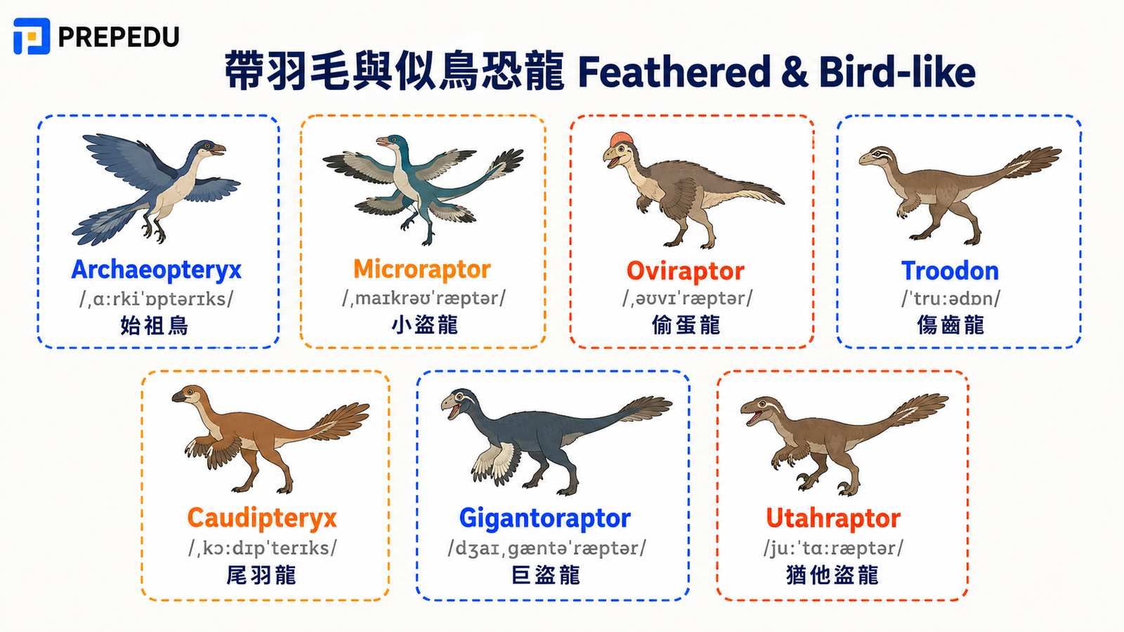 feathered-bird-like-dinosaurs.jpg