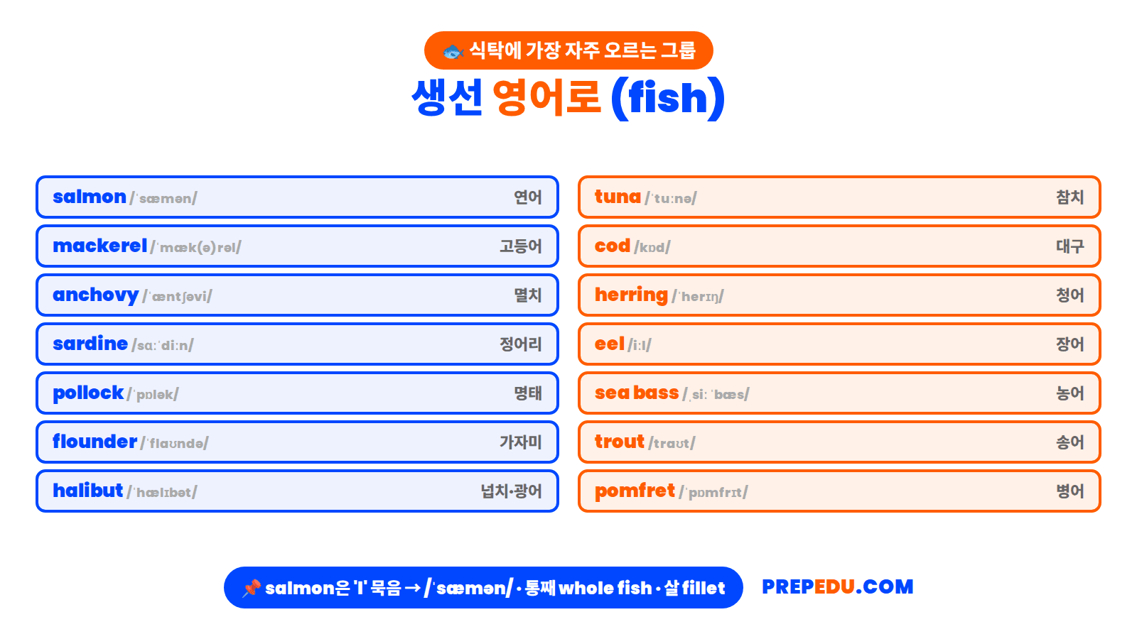 fish-vocabulary.png