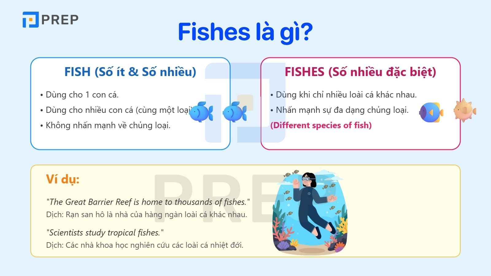 fishes-la-gi.jpg