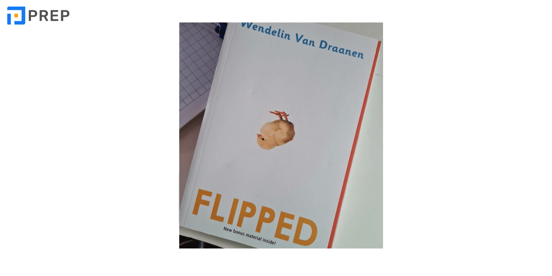 flipped.png