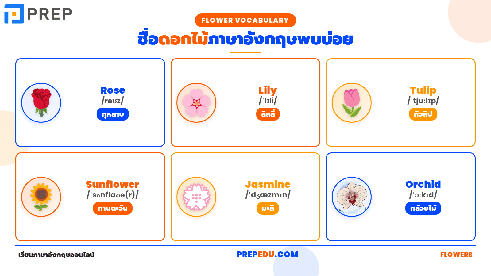 ชื่อดอกไม้ภาษาอังกฤษพบบ่อยที่สุด 6 ชนิด