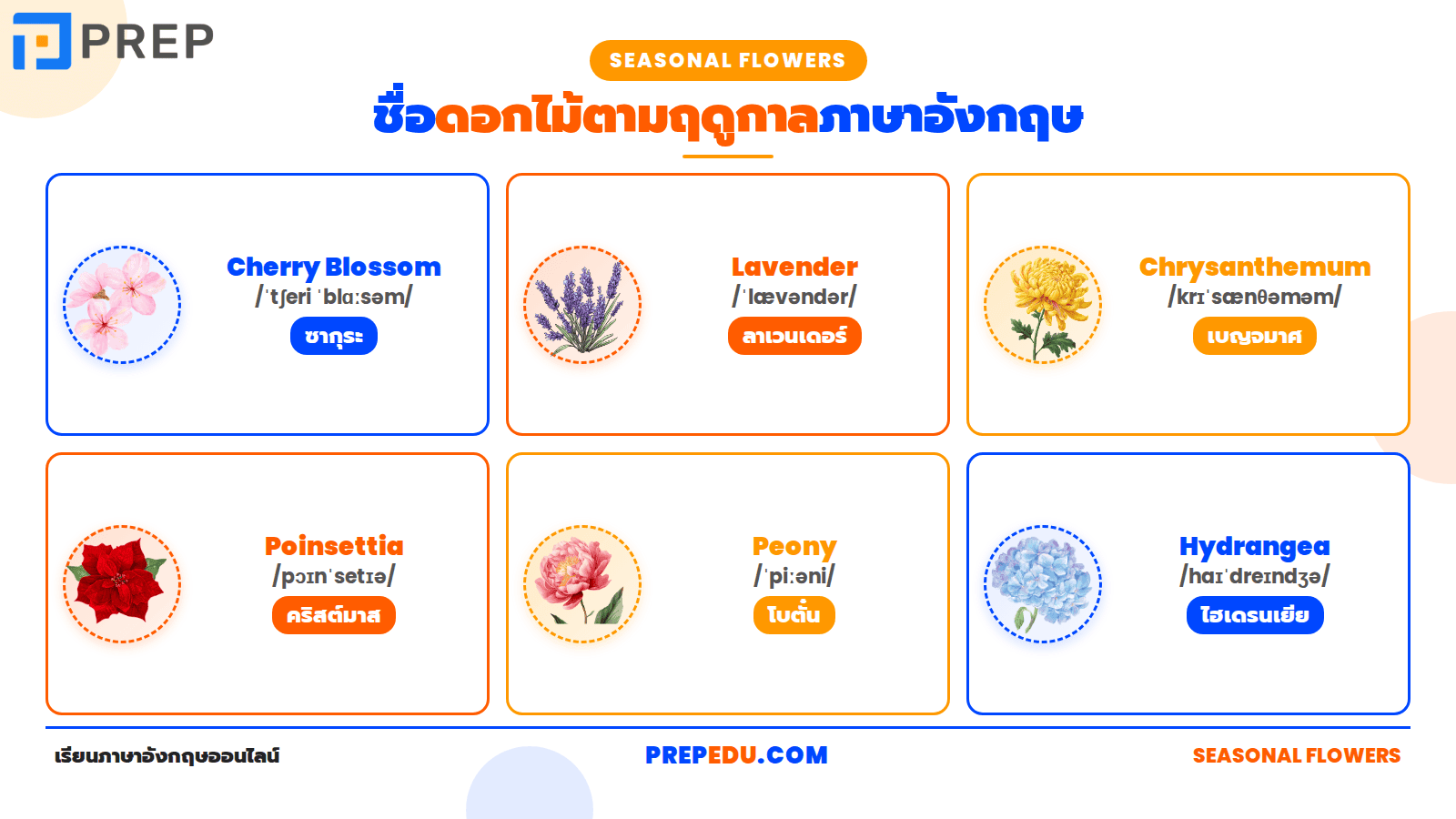 ชื่อดอกไม้ตามฤดูกาล 7 ชนิด