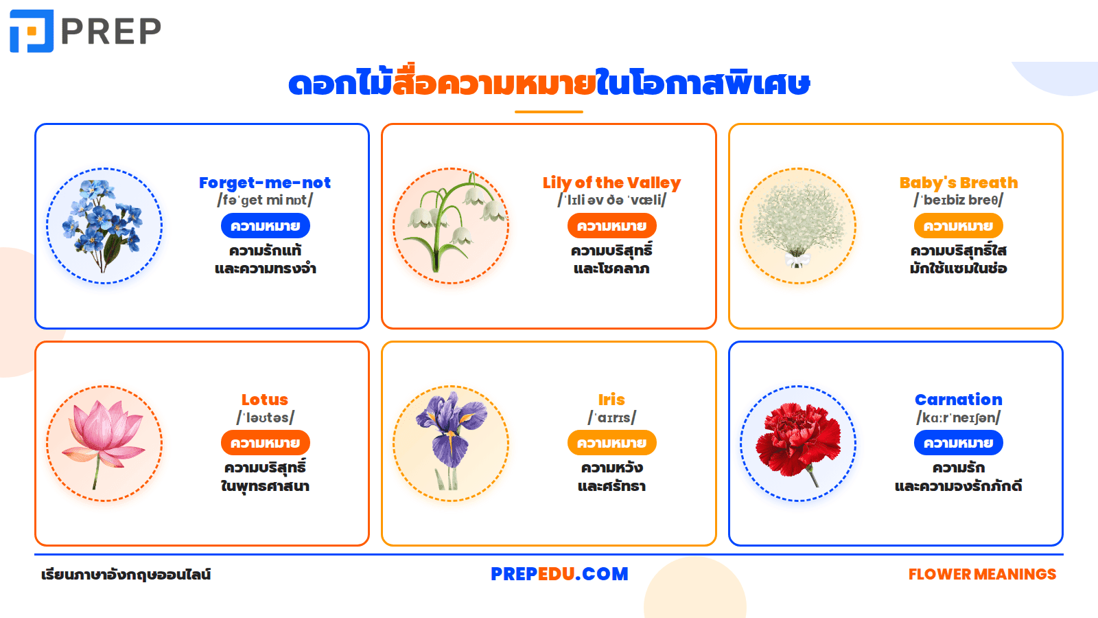 ดอกไม้สื่อความหมายในโอกาสพิเศษ 6 ชนิด