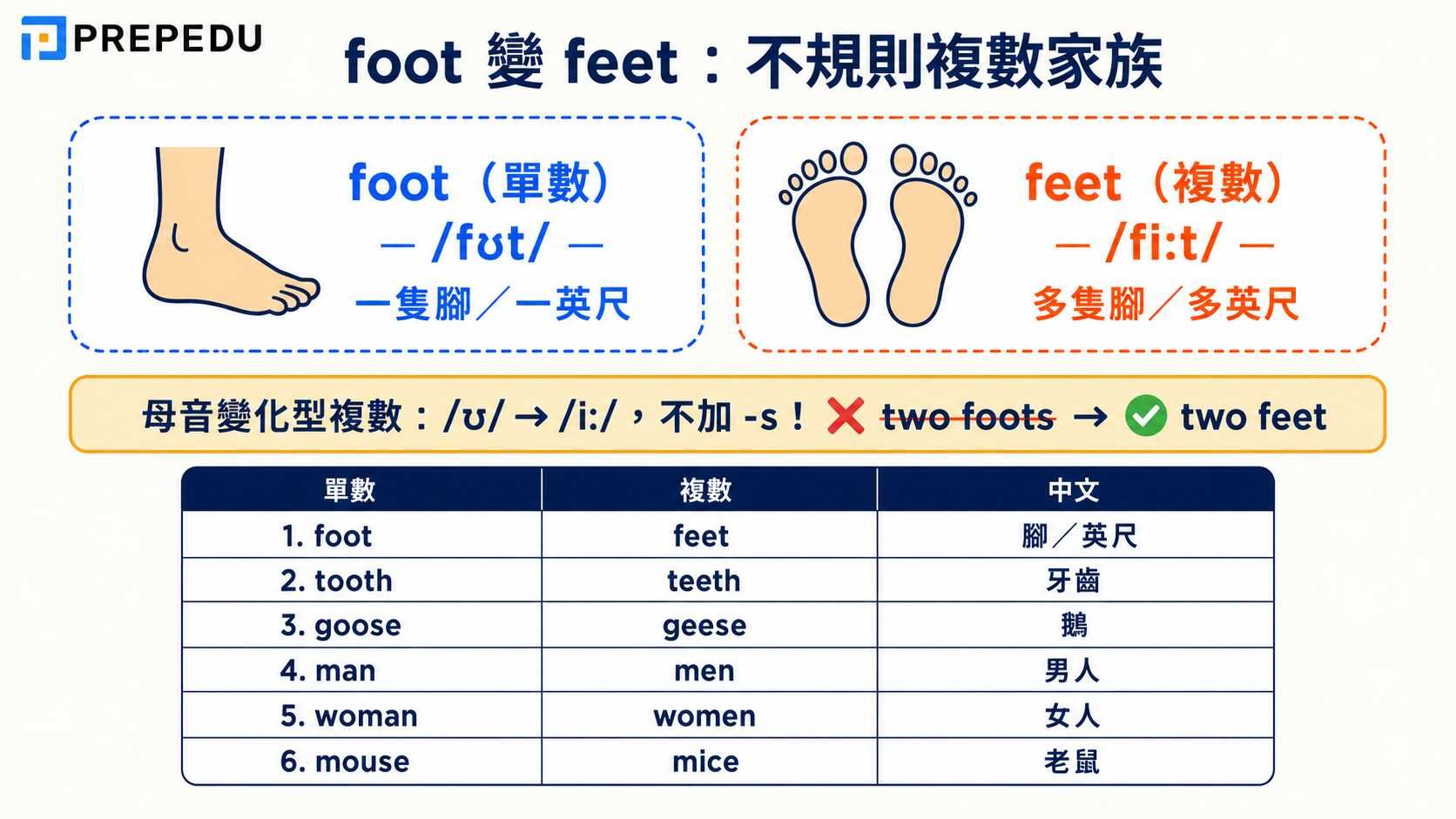 foot-feet-irregular-plural-family.jpg