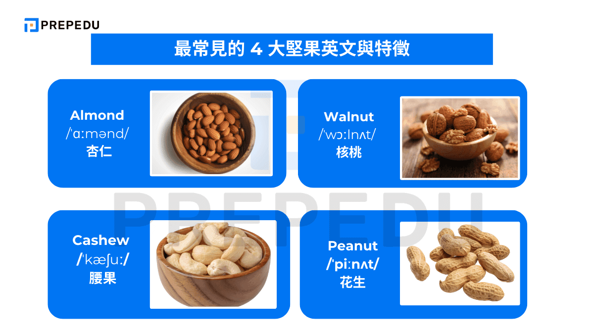 最常見的 4 大堅果英文與特徵