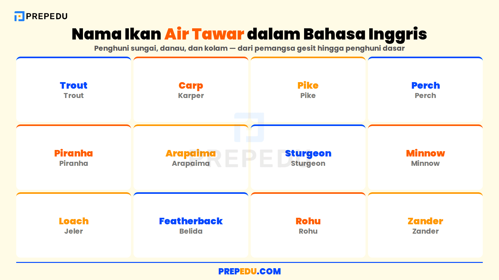 Kumpulan nama ikan air tawar dalam bahasa Inggris beserta artinya