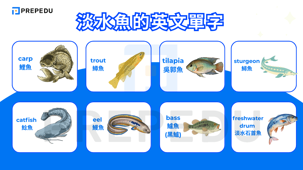 淡水魚的英文單字