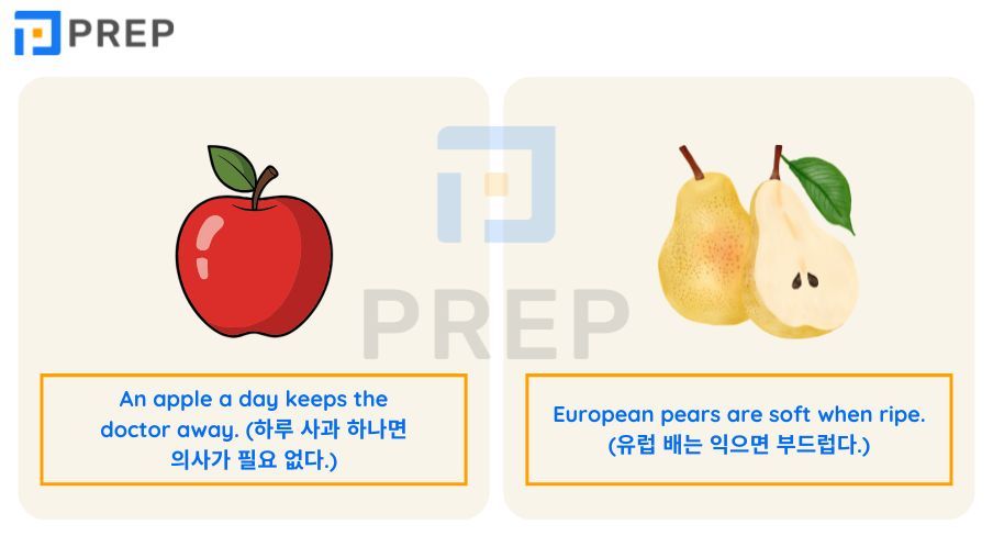 과일 영어로 완벽 가이드: 250개 필수 단어, 발음, 예문 총정리