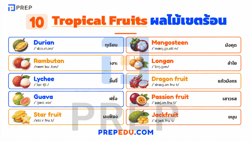 Tropical Fruits (ผลไม้เขตร้อน)