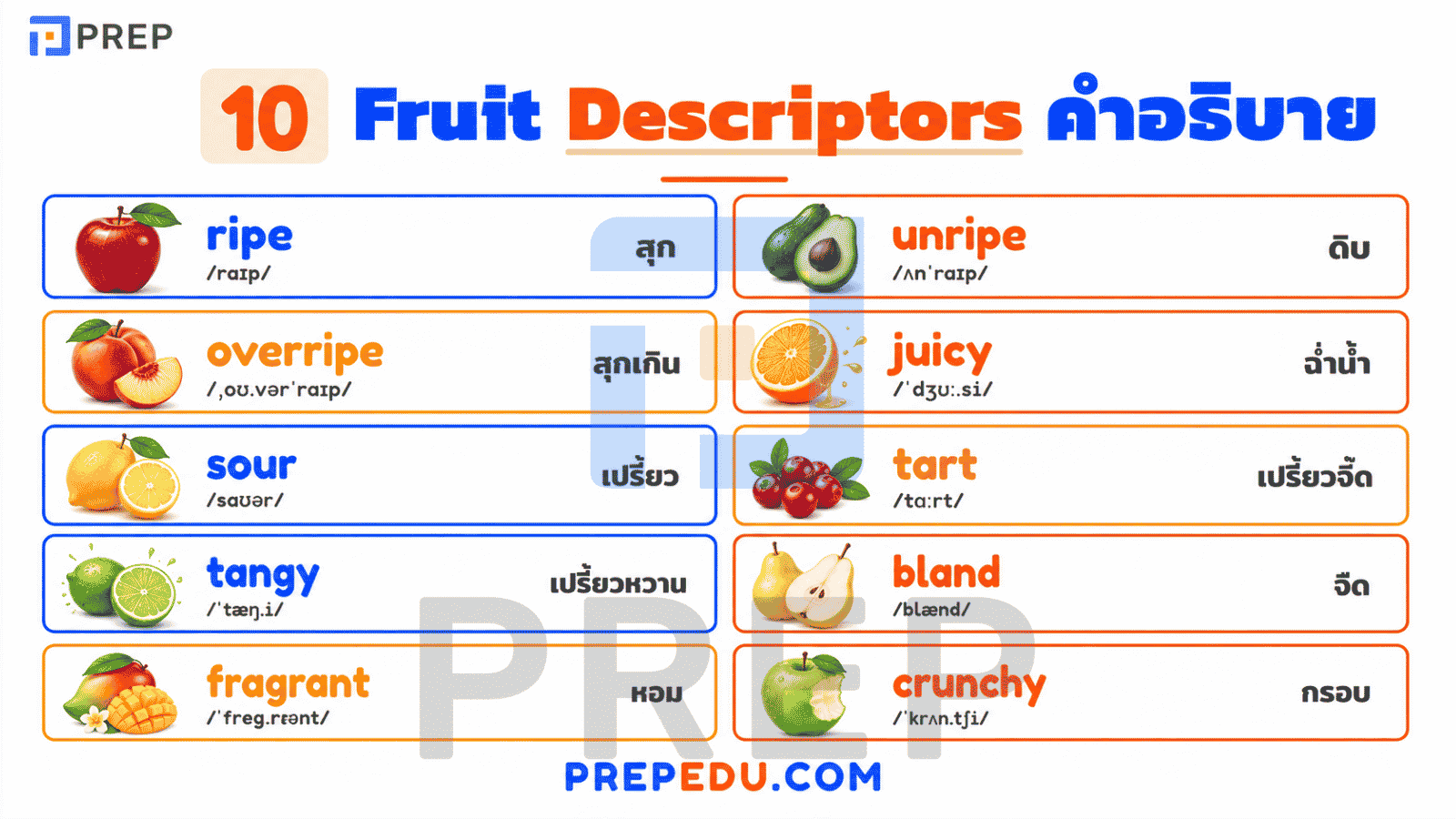  Fruit Descriptors (คำอธิบายผลไม้)