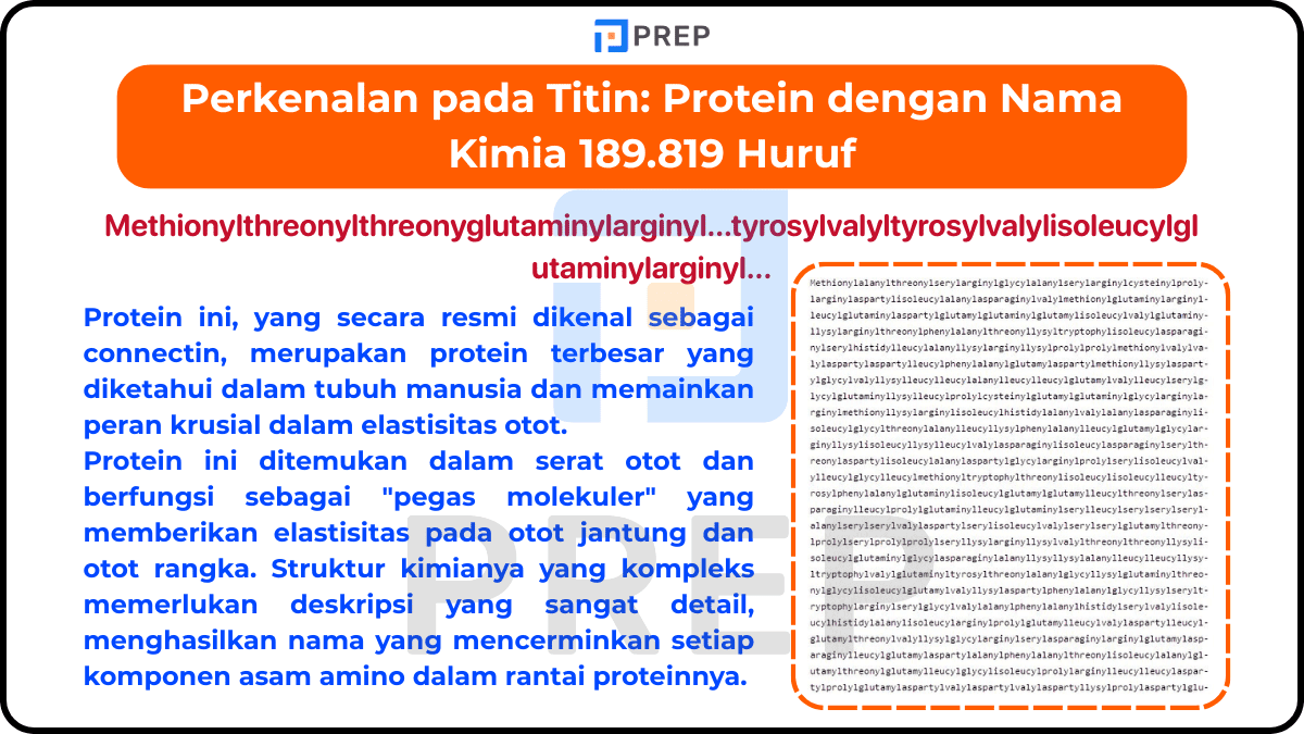 Perkenalan pada Titin: Protein dengan Nama Kimia 189.819 Huruf