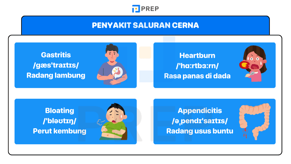 Nama Nama Penyakit Saluran Cerna