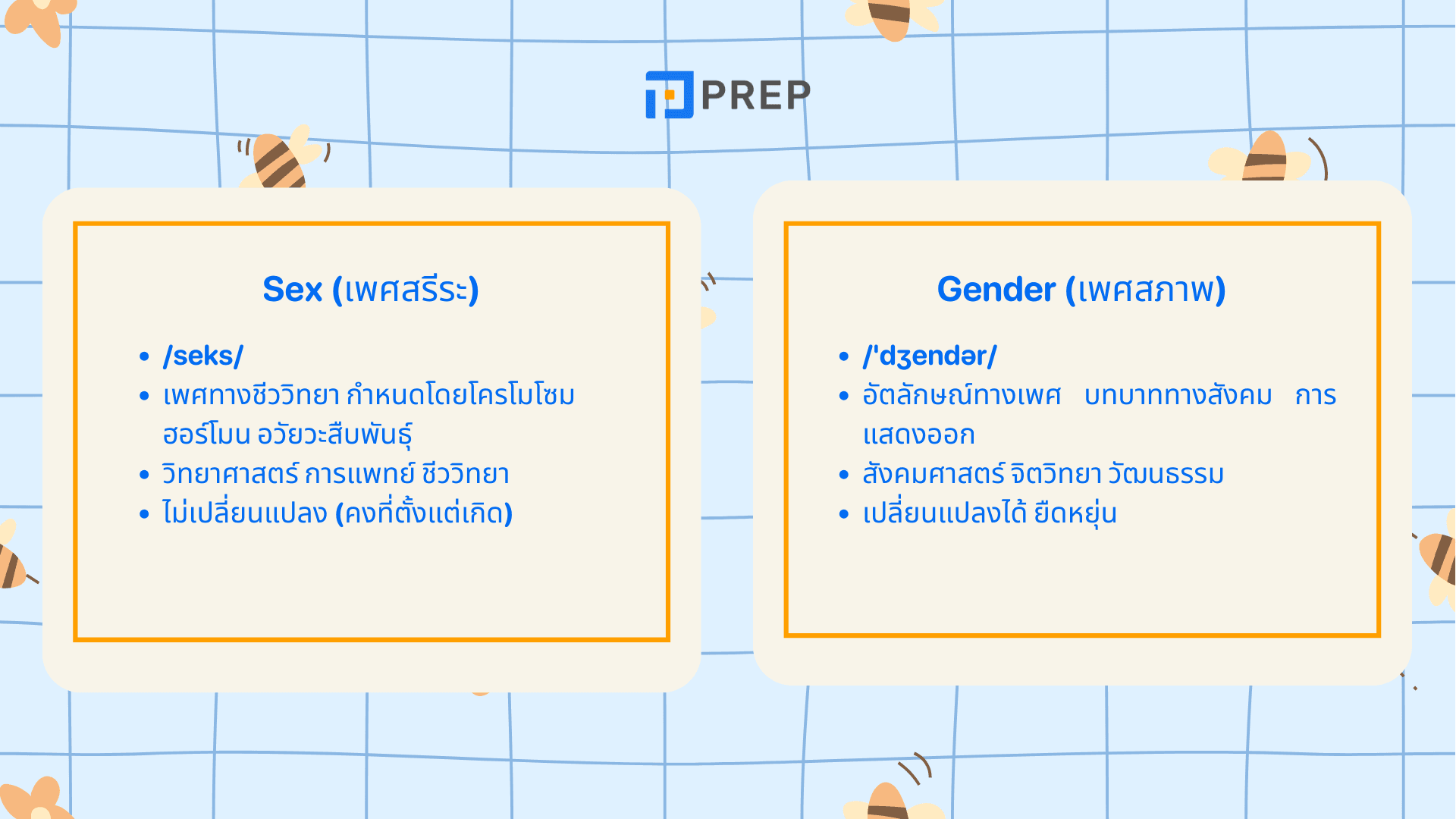 เพศ ภาษาอังกฤษ คืออะไร? รวมคำศัพท์และการใช้ที่ควรรู้