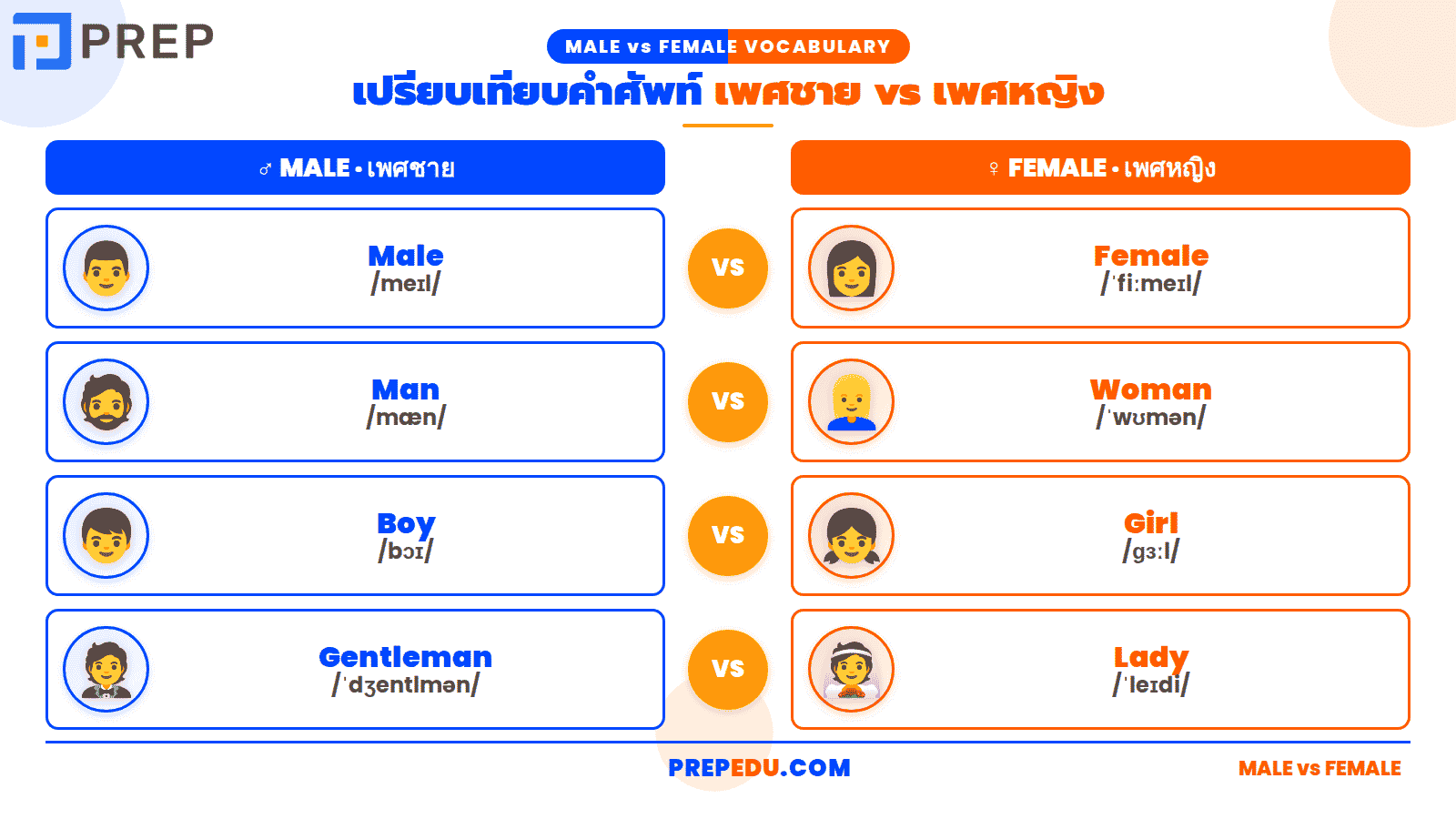 ตารางเปรียบเทียบคำศัพท์ Male vs Female