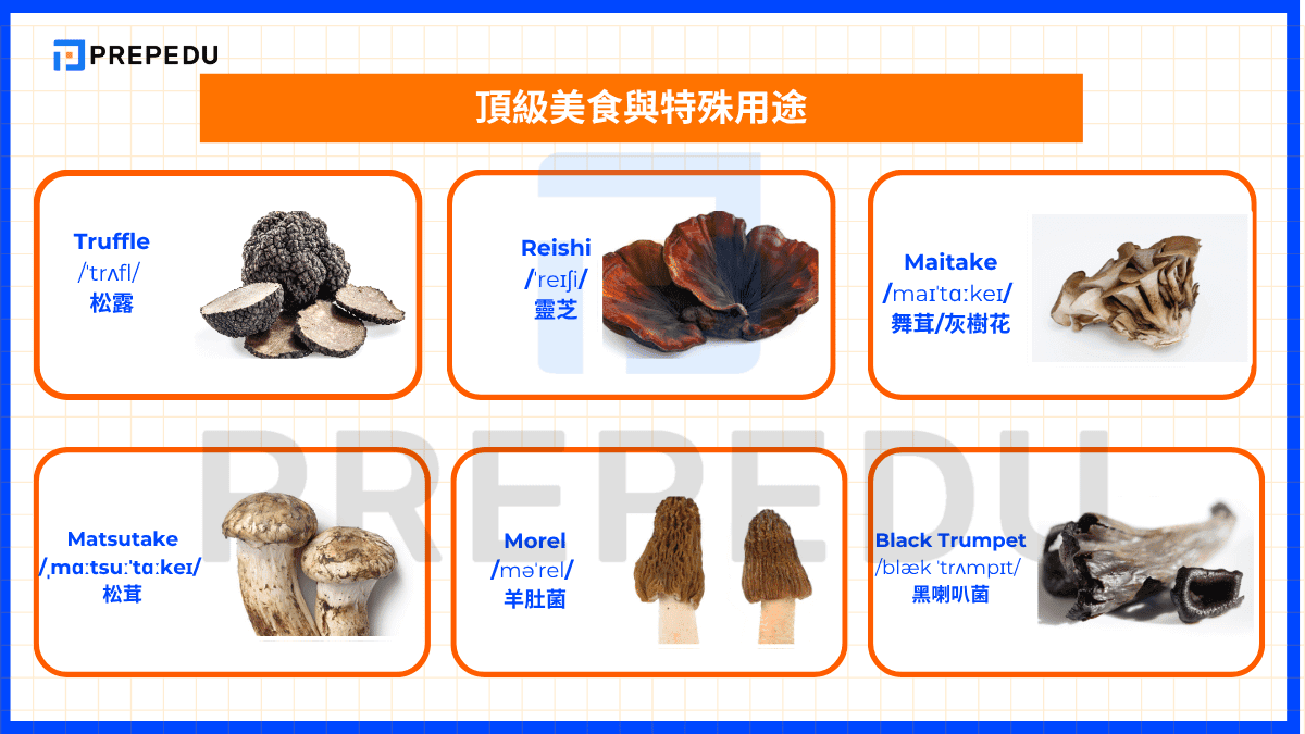 頂級美食與特殊用途