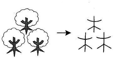 Hai chữ giống nhau trở lên tạo thành chữ hội ý