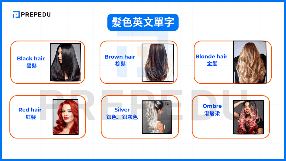 髮色英文