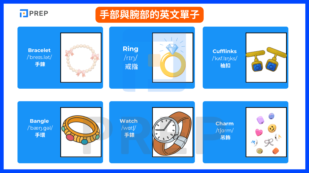 手部與腕部的英文單子