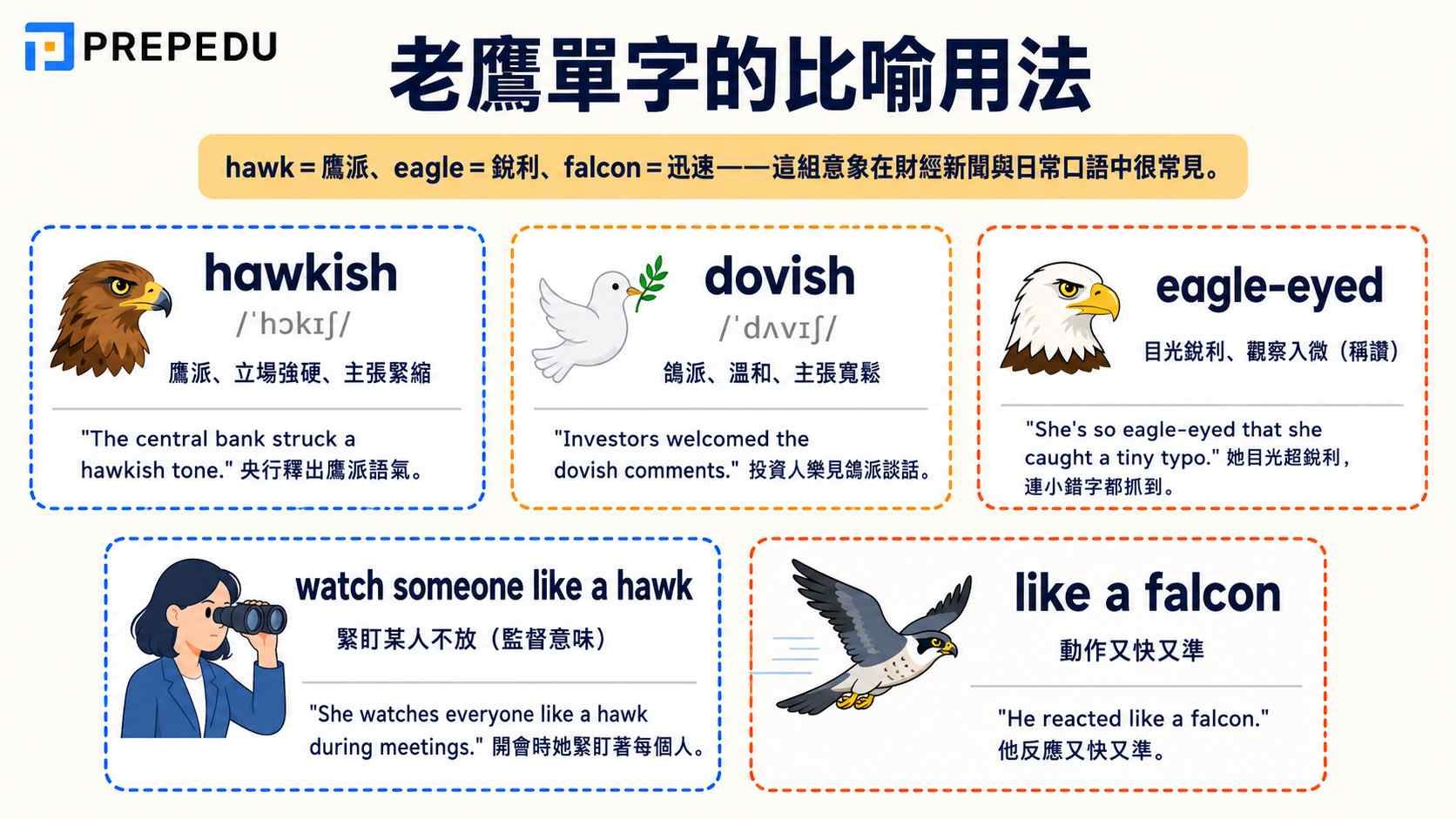 hawk-eagle-falcon-figurative-meanings.jpg