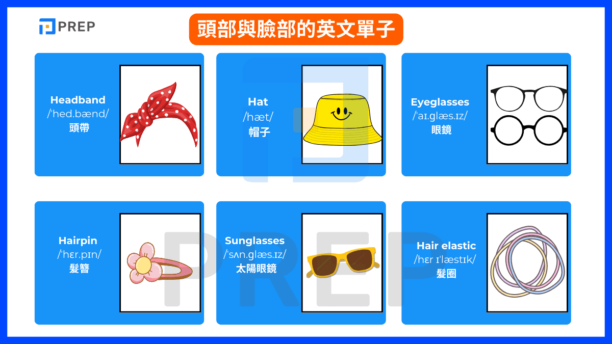 頭部與臉部的英文單子