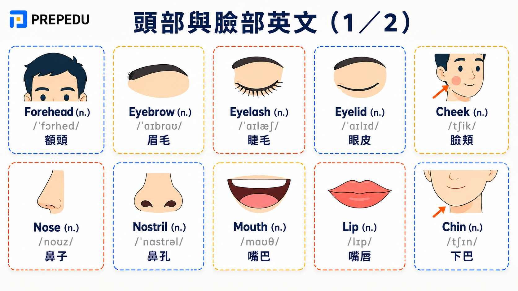 head-and-face-parts-in-english-1.jpg