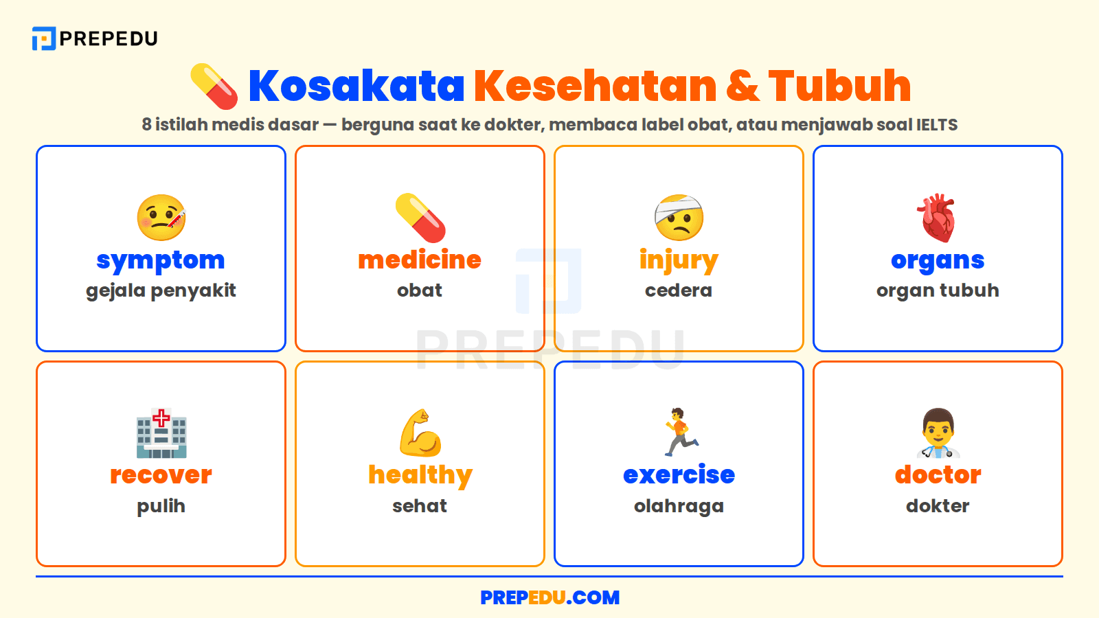 Kosakata Bahasa Inggris tentang Kesehatan dan Tubuh