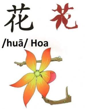 Cách viết chữ 花