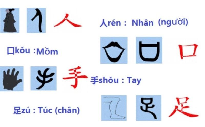 Hướng dẫn cách học theo bộ thủ