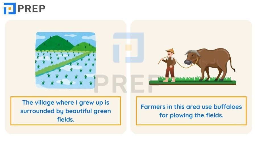 Tất tần tật từ vựng tiếng Anh theo chủ đề thông dụng nhất!