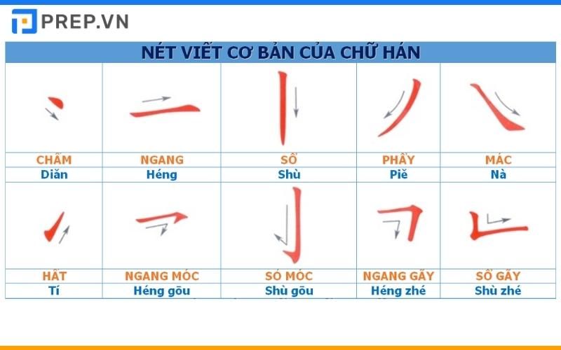 Khi học viết tiếng Trung hay bắt đầu từ 8 nét cơ bản