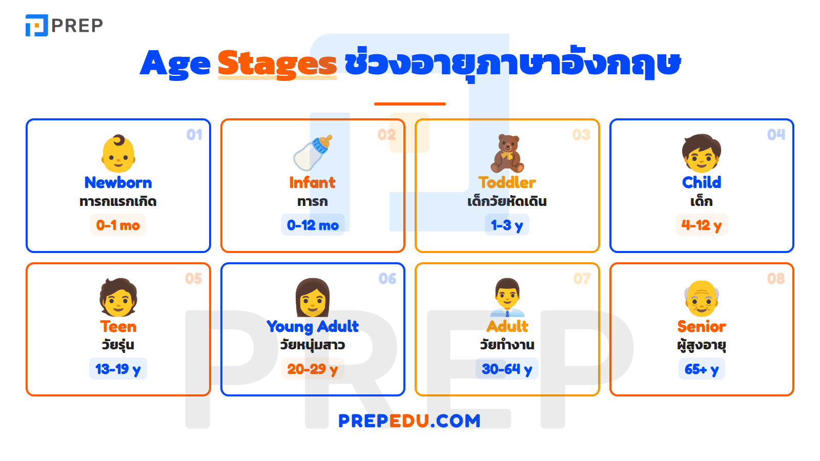 คำศัพท์ Age Stages