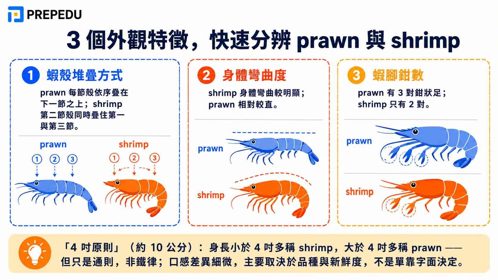 how-to-identify-prawn-vs-shrimp-by-3-physical-features.jpg
