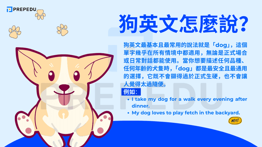 狗英文怎麼說？