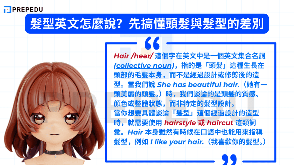 髮型英文怎麼說？