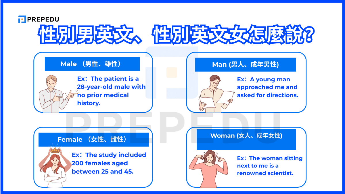 性別男英文、性別英文女怎麼說？