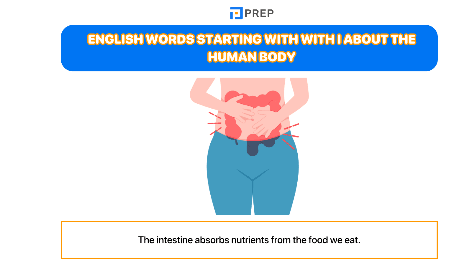 English words starting with I about human body