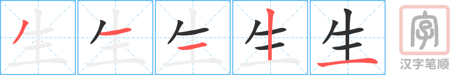Hướng dẫn cách viết chữ Sinh trong tiếng Hán