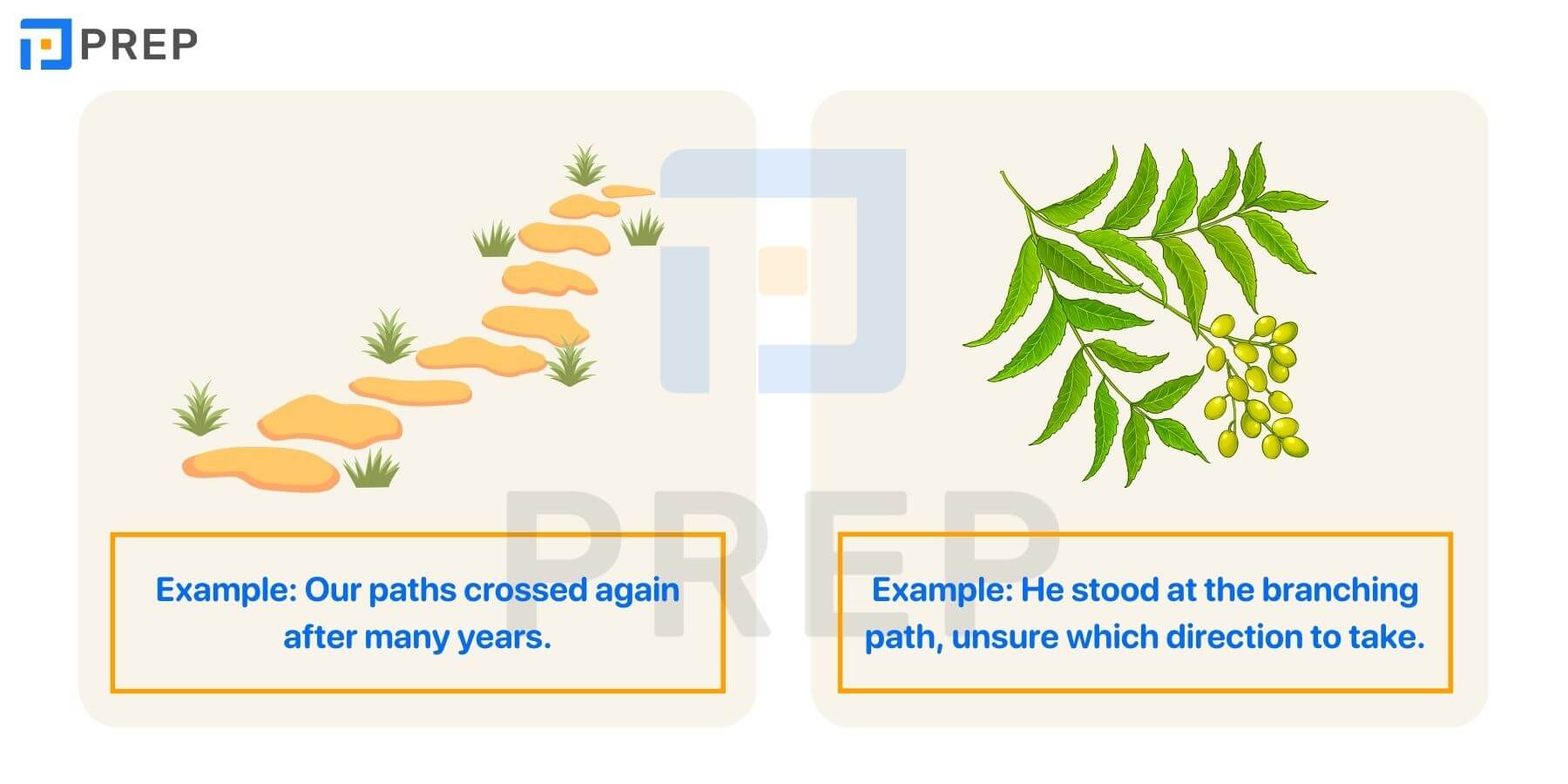 Idiom & collocation với Path