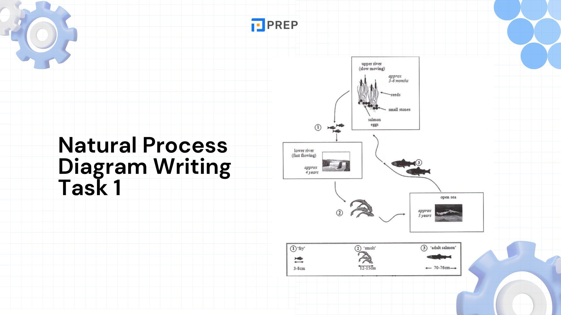 เขียน Writing Task 1 ประเภท Process Diagram ใน IELTS - สิ่งที่ควรรู้