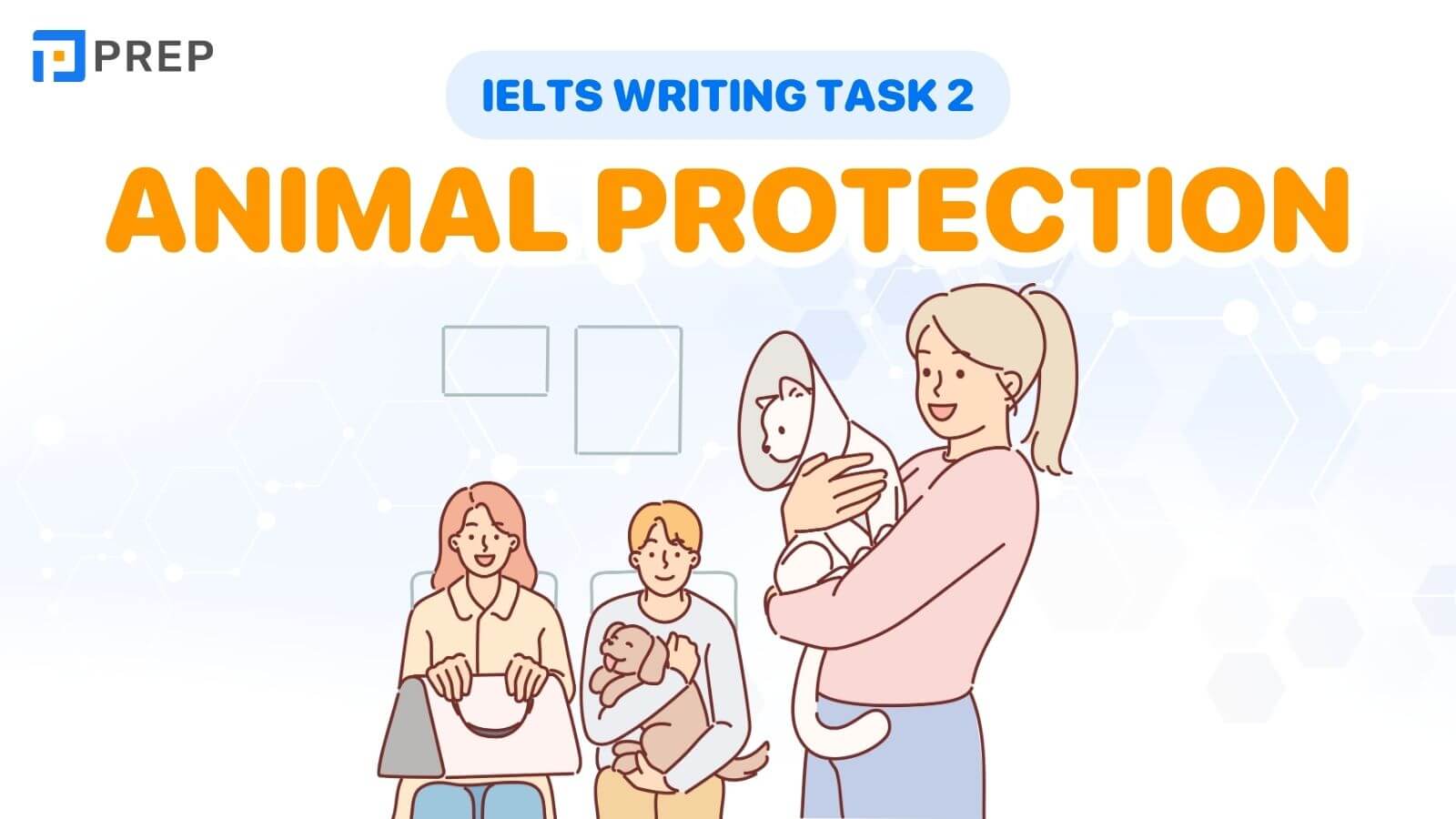 Bài mẫu IELTS Writing Task 2 Animals protect