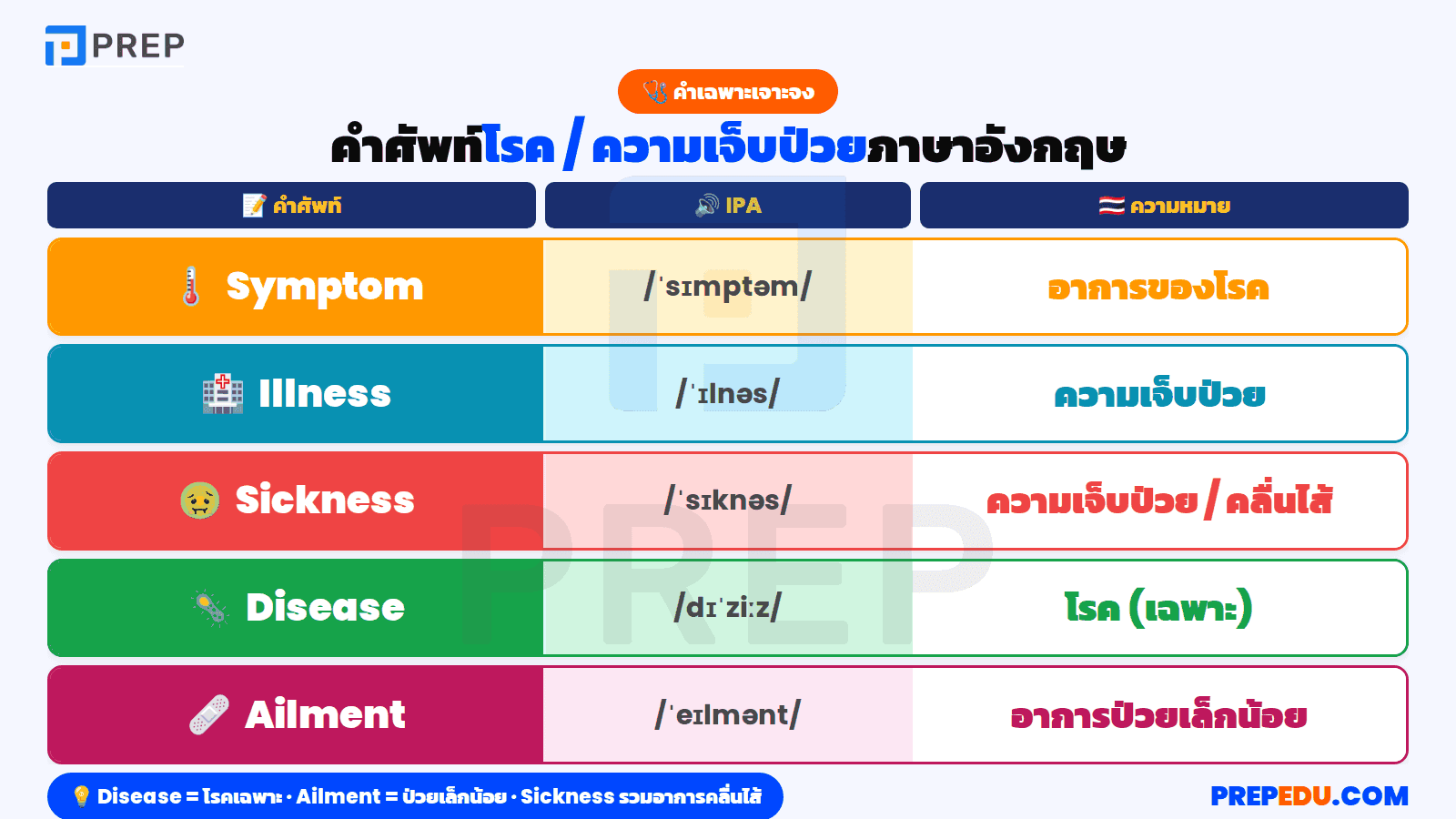 คำศัพท์และวลีพื้นฐานเกี่ยวกับความเจ็บป่วย