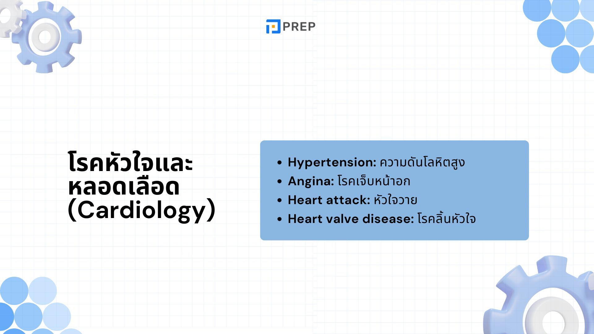 100+ คำศัพท์เกี่ยวกับโรคและอาการเจ็บป่วย - ที่ควรรู้