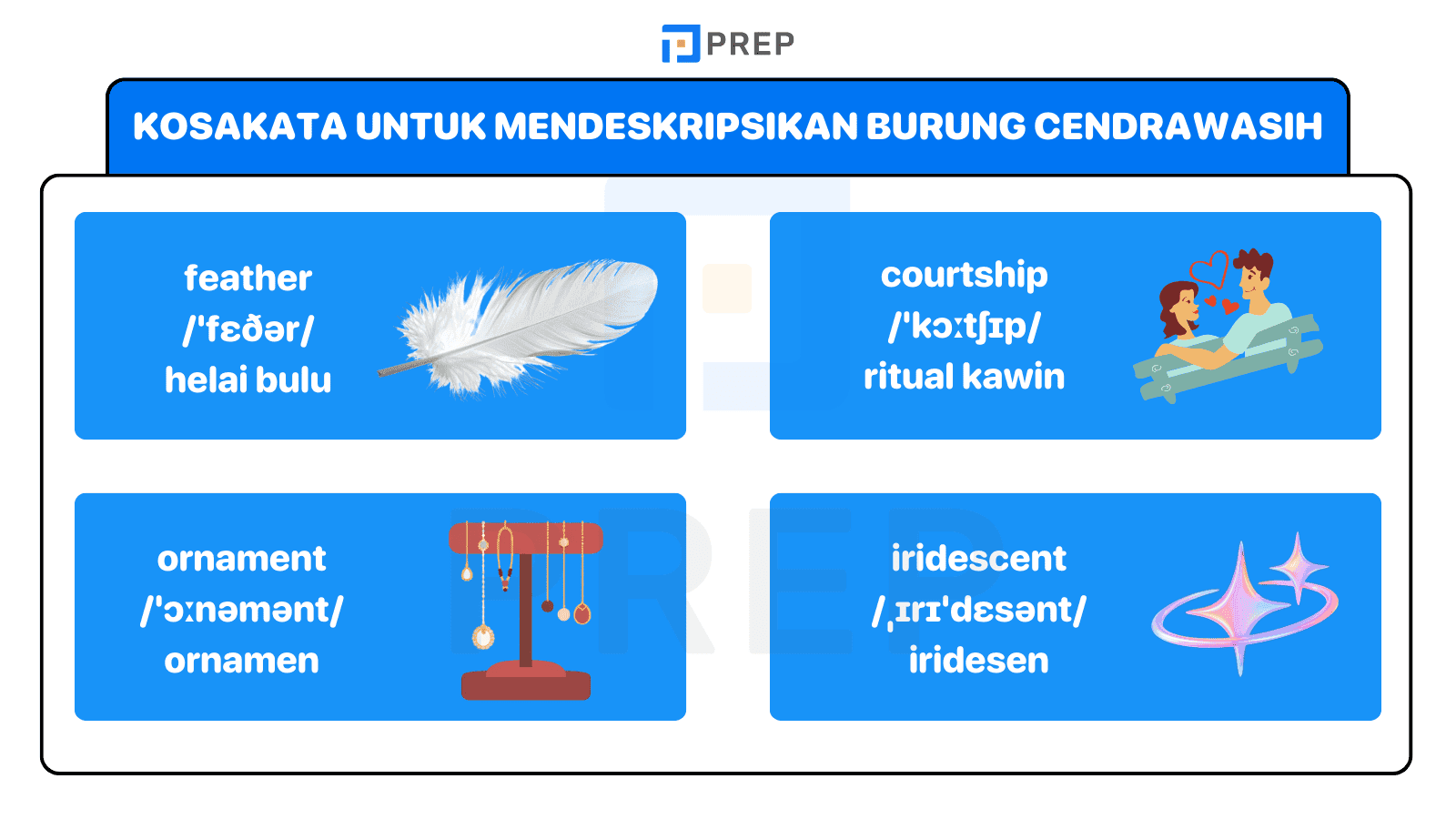 Deskripsi cendrawasih lebih hidup dengan kosakata tepat