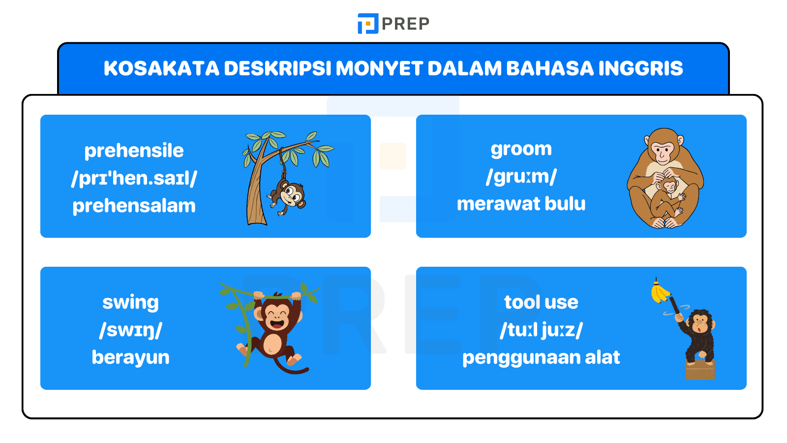 Belajar kosakata deskripsi monyet lengkap & jelas