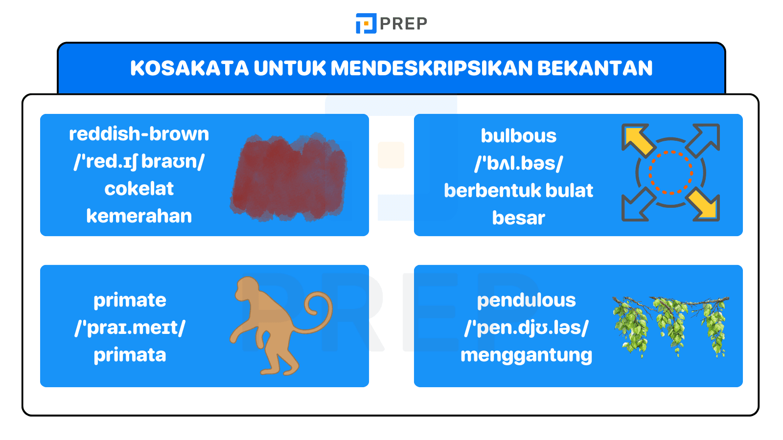 Deskripsi bekantan yang akurat dimulai dari penguasaan kosakata yang tepat