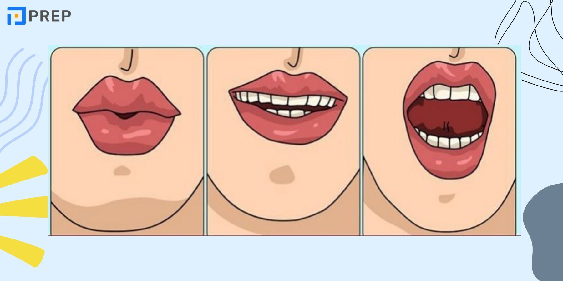 국제 음성 기호(IPA)의 체계적 이해: 조음 원리 및 상세한 발음 지침